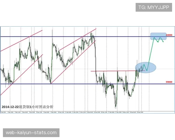 郑优营的技术瓶颈与突破:盘带效率、传球选择与进攻组织角色解析